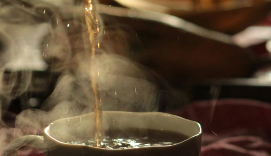 Parasite II: Heavy Metals + Mold + Fungal Tincture