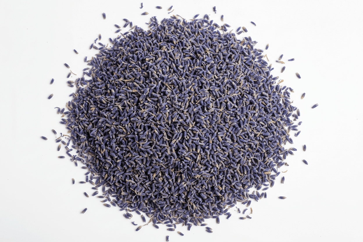 Lavender (Loose Herb Jar) - raw psycheTSH-LAVENDER-1.5ozraw psyche