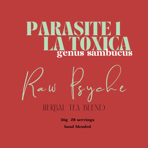 Parasite: Mold & Heavy Metal Detox