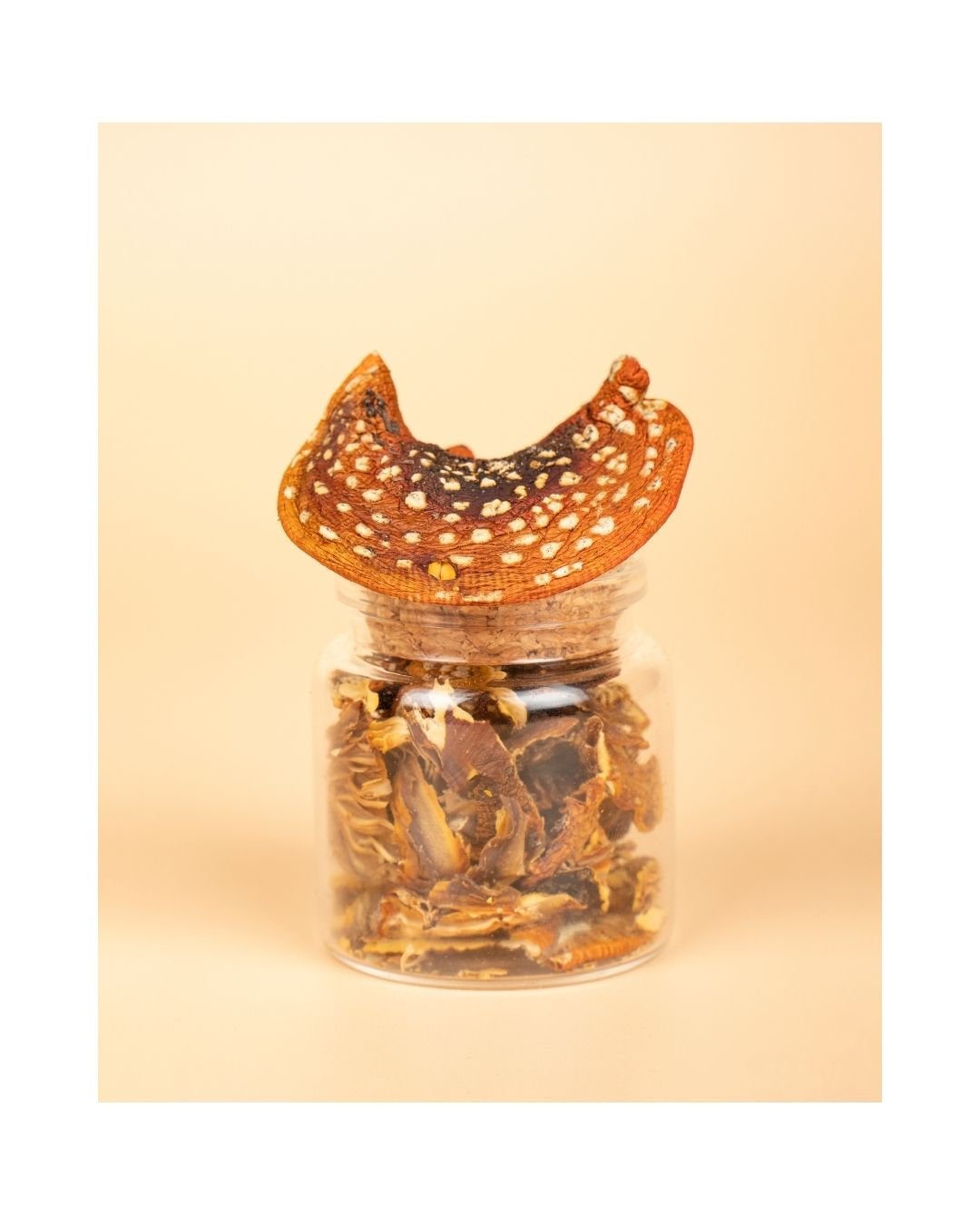 NeuroDivergent Shrooms Tincture - raw psycheTIN-DIVERGENT-2OZraw psyche2 oz