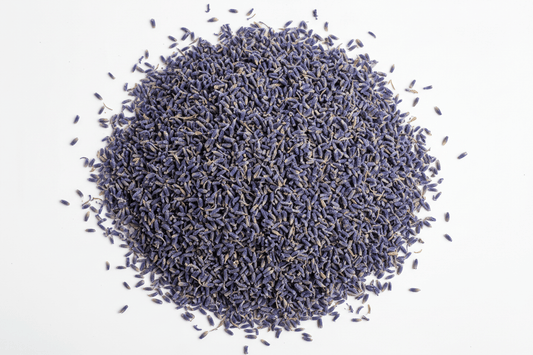 Lavender (Loose Herb Jar) - raw psycheTSH-LAVENDER-1.5ozraw psyche