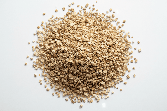 Shatavari (Loose Herb Jar) - raw psycheTSH-SHATAVARI-1.5ozraw psyche